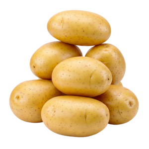 Fresh Potato ( आलू  )