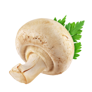 Button Mushroom