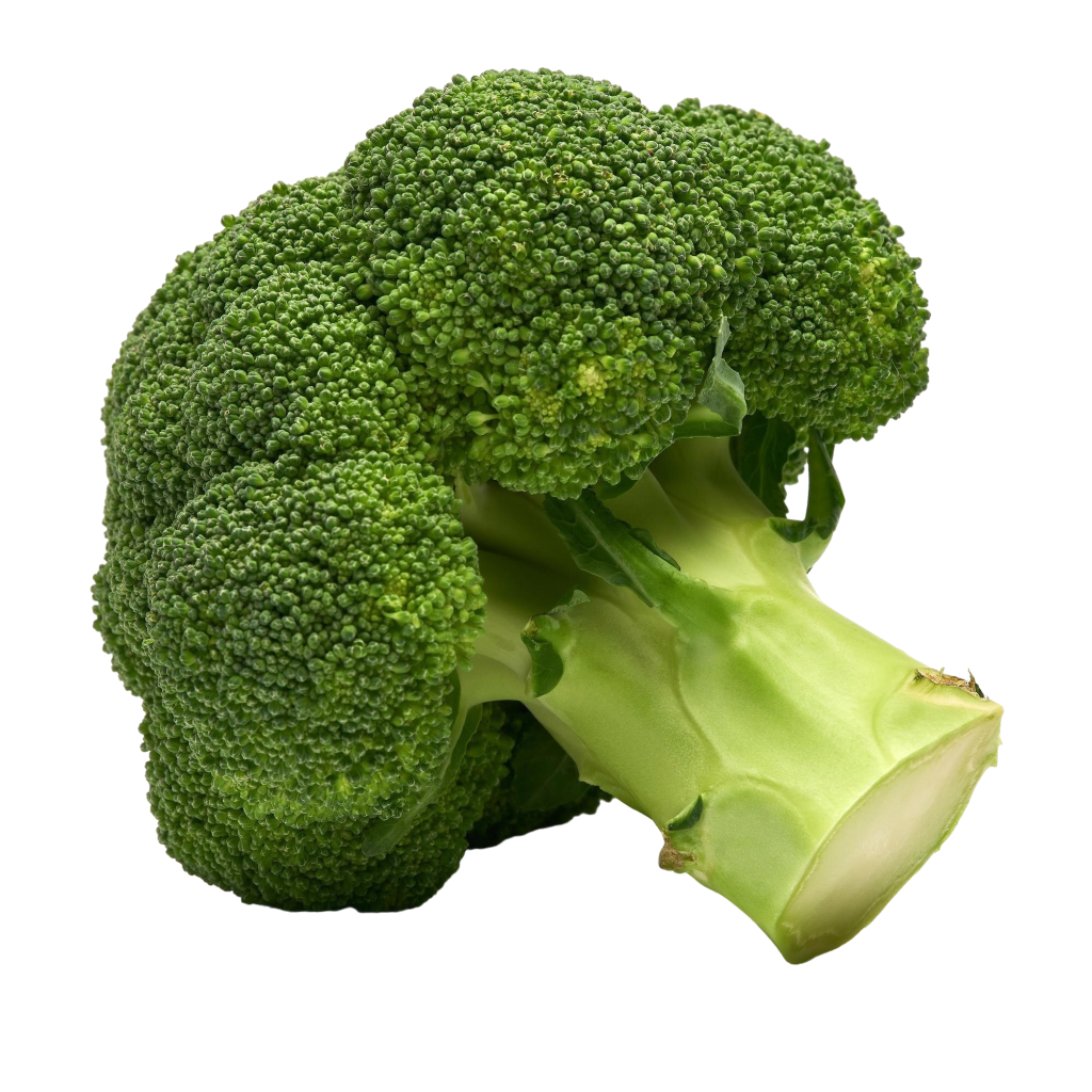 Broccoli ( ब्रोकोली )