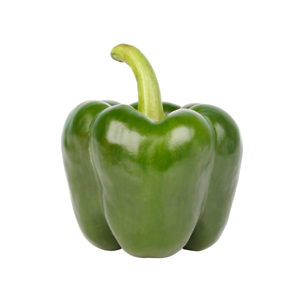 Green Capsicum  ( शिमला मिर्च )