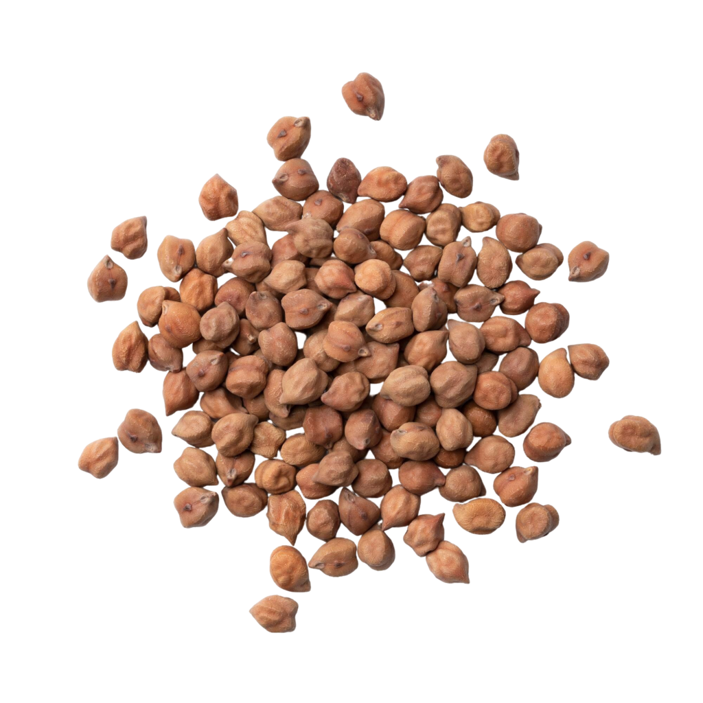 Black Chickpeas ( काला चना )