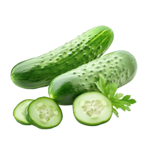 Cucumber ( खीरा )