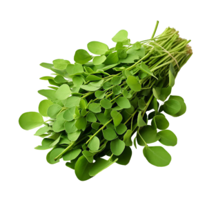 Fenugreek (Methi - मेथी )