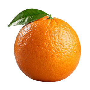 Orange ( संतरा )