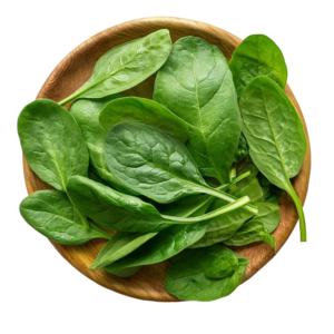 Spinach ( पालक )